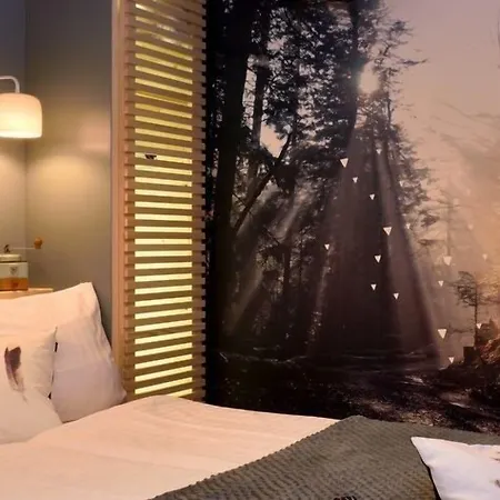 Hotel Les Bagenelles Sainte-Marie-aux-Mines