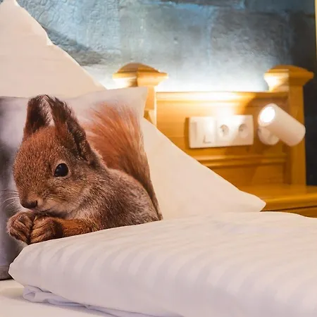 Hotel Les Bagenelles Sainte-Marie-aux-Mines