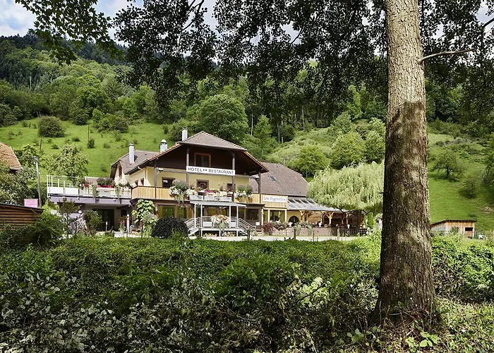 Les Bagenelles 3*